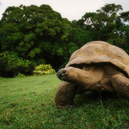 Ferney Nature Lodge ماهيبورغ المظهر الخارجي الصورة