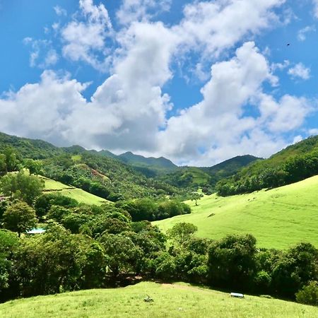 Ferney Nature Lodge ماهيبورغ المظهر الخارجي الصورة