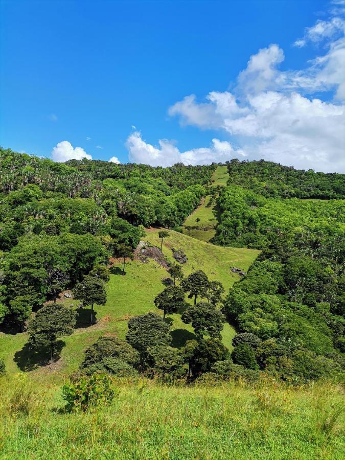 Ferney Nature Lodge ماهيبورغ المظهر الخارجي الصورة
