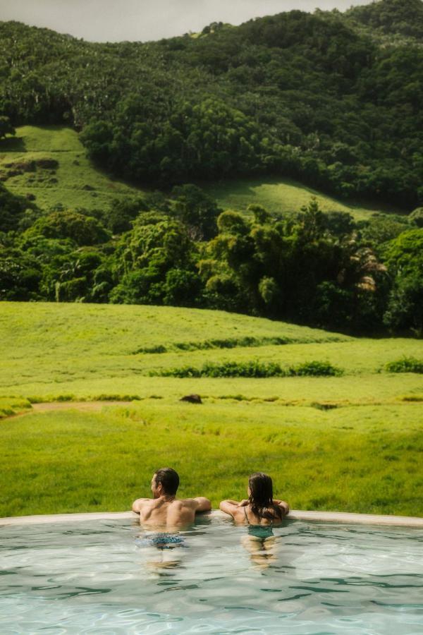 Ferney Nature Lodge ماهيبورغ المظهر الخارجي الصورة