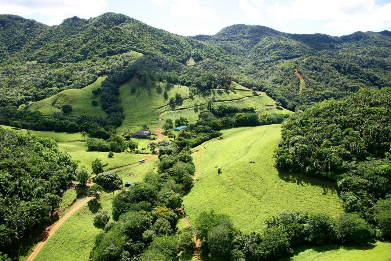 Ferney Nature Lodge ماهيبورغ المظهر الخارجي الصورة