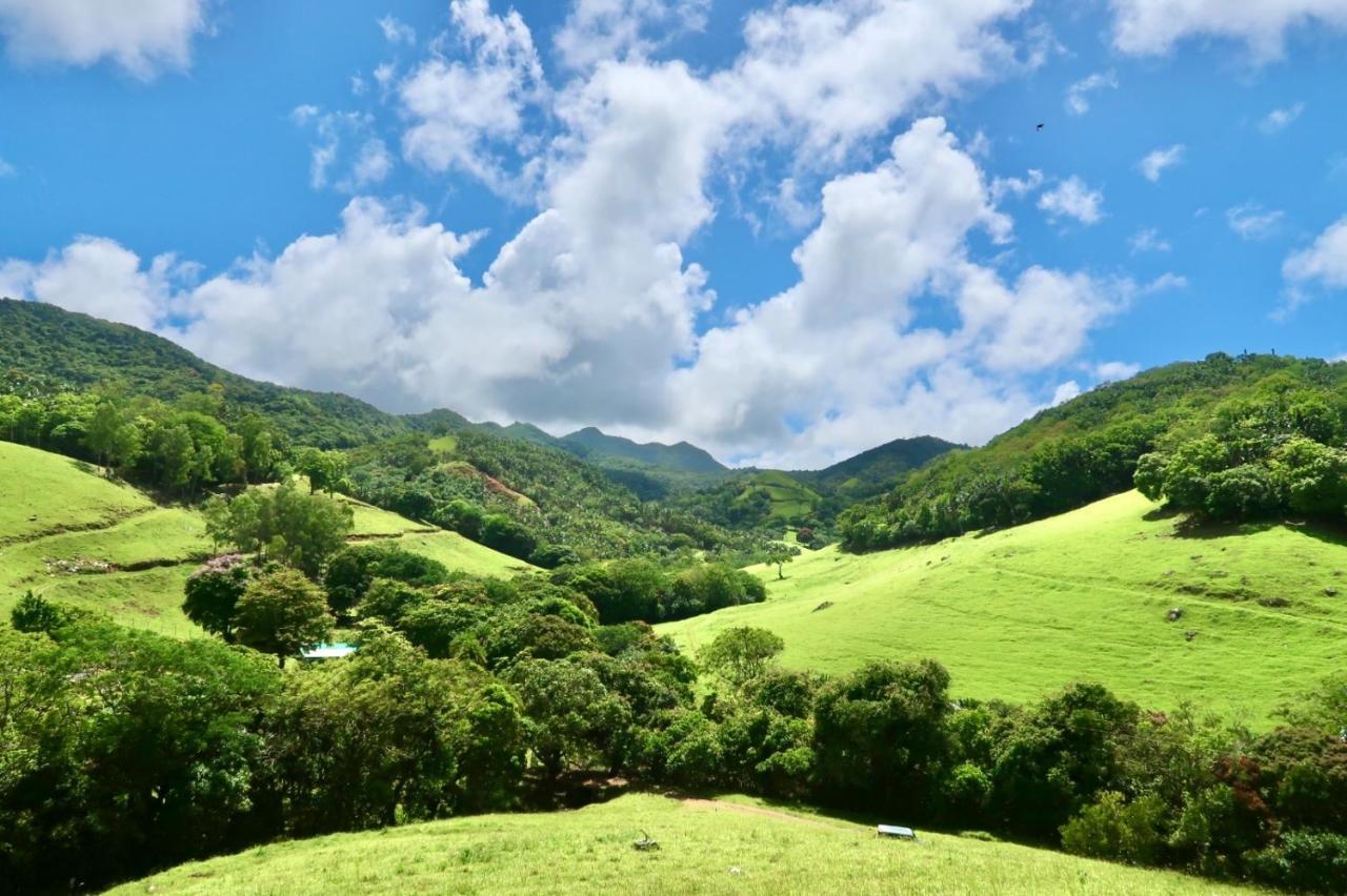 Ferney Nature Lodge ماهيبورغ المظهر الخارجي الصورة